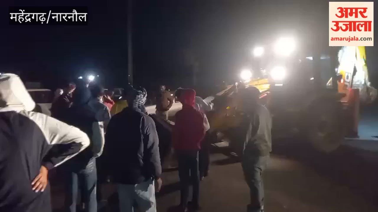 Two cattle crushed by a roadways bus