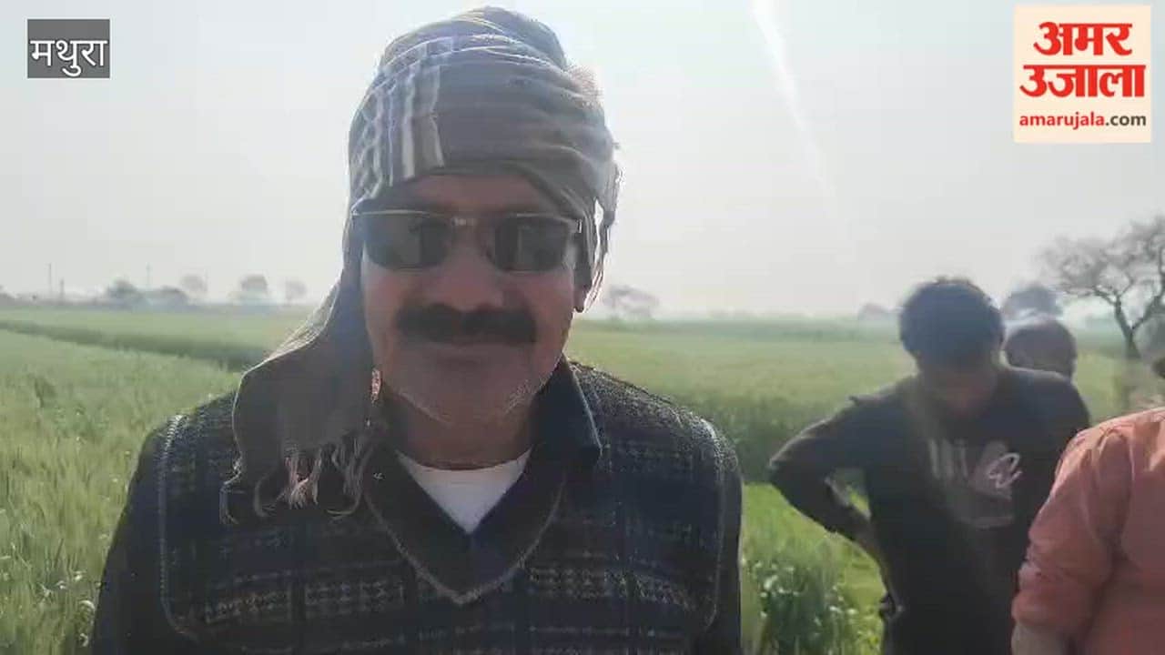 Labourer Found Hanging from Tree in Ading Village of Govardhan