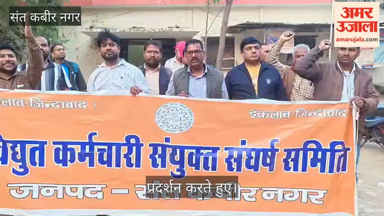Electricity workers staged a sit-in protest against privatisation.