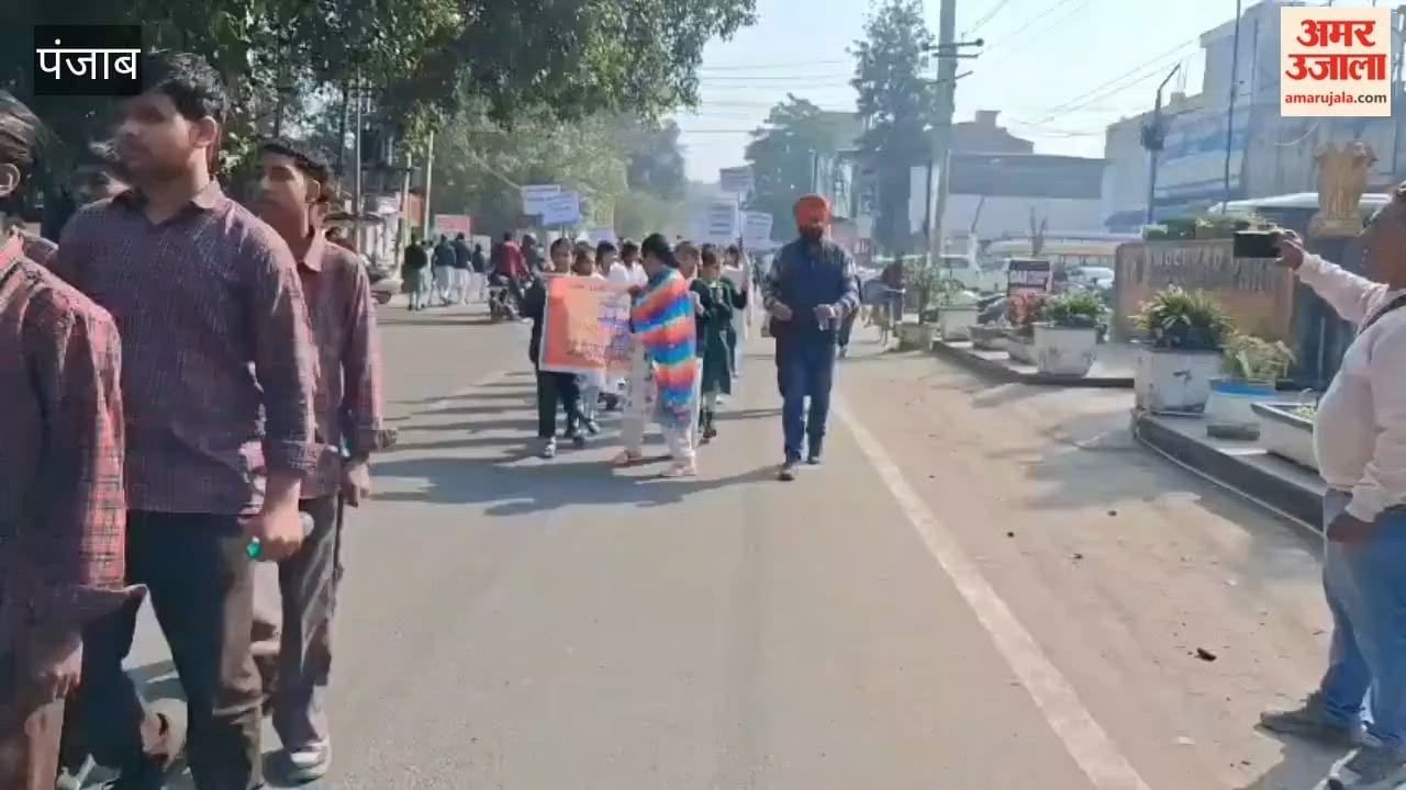 Punjabi mother tongue awareness march held in Phagwara