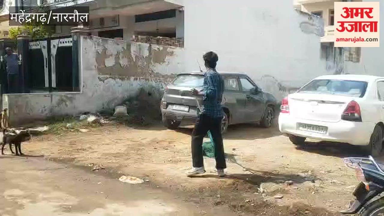 1239 dogs caught in Narnaul