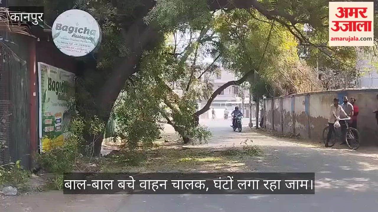 कानपुर: एनटू रोड पर गिरा विशाल पेड़, गुरु गोविंद सिंह मार्ग पर थमी रफ्तार