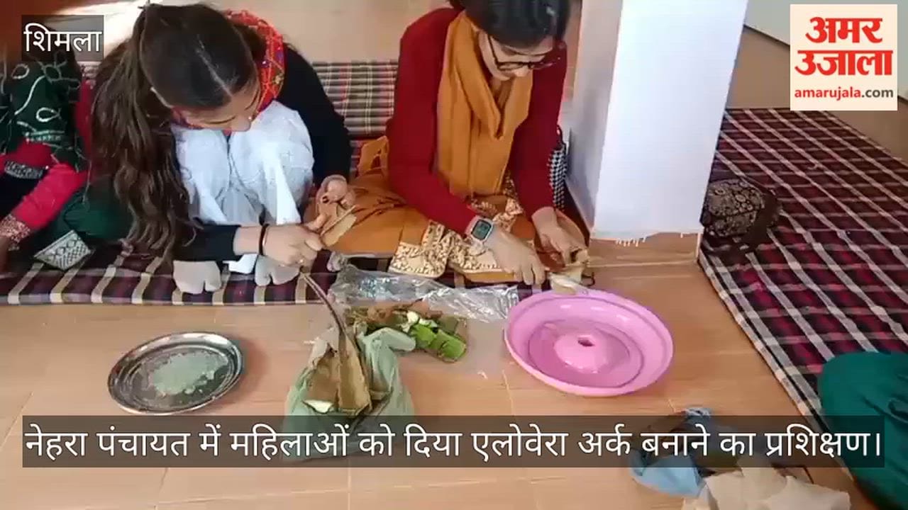 Women in Nehra Panchayat were given training in making aloe vera extract