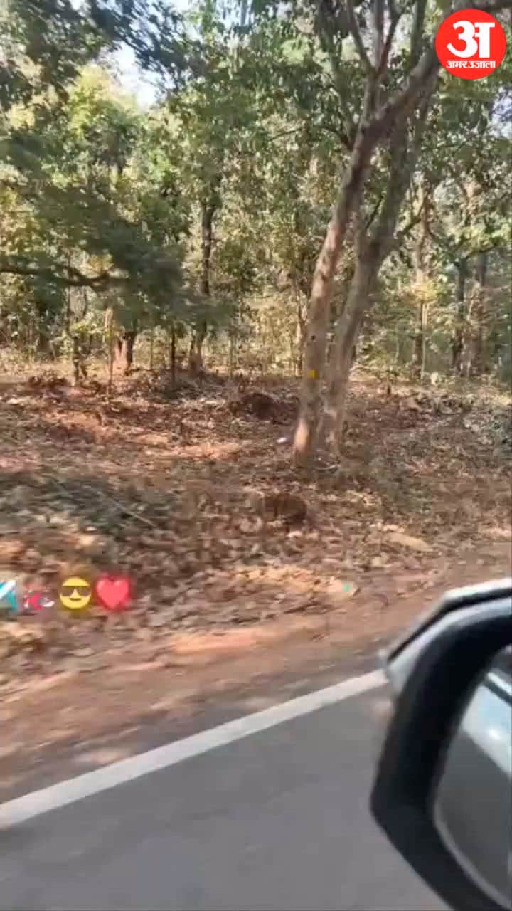 Video of dangerous stunt by youth on scooter in Dantewada goes viral