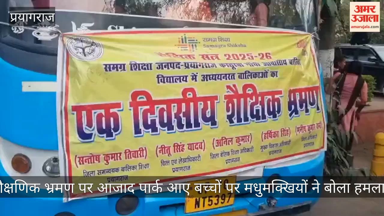 Bees attack children on an educational trip to Azad Park, injuring over 50 children