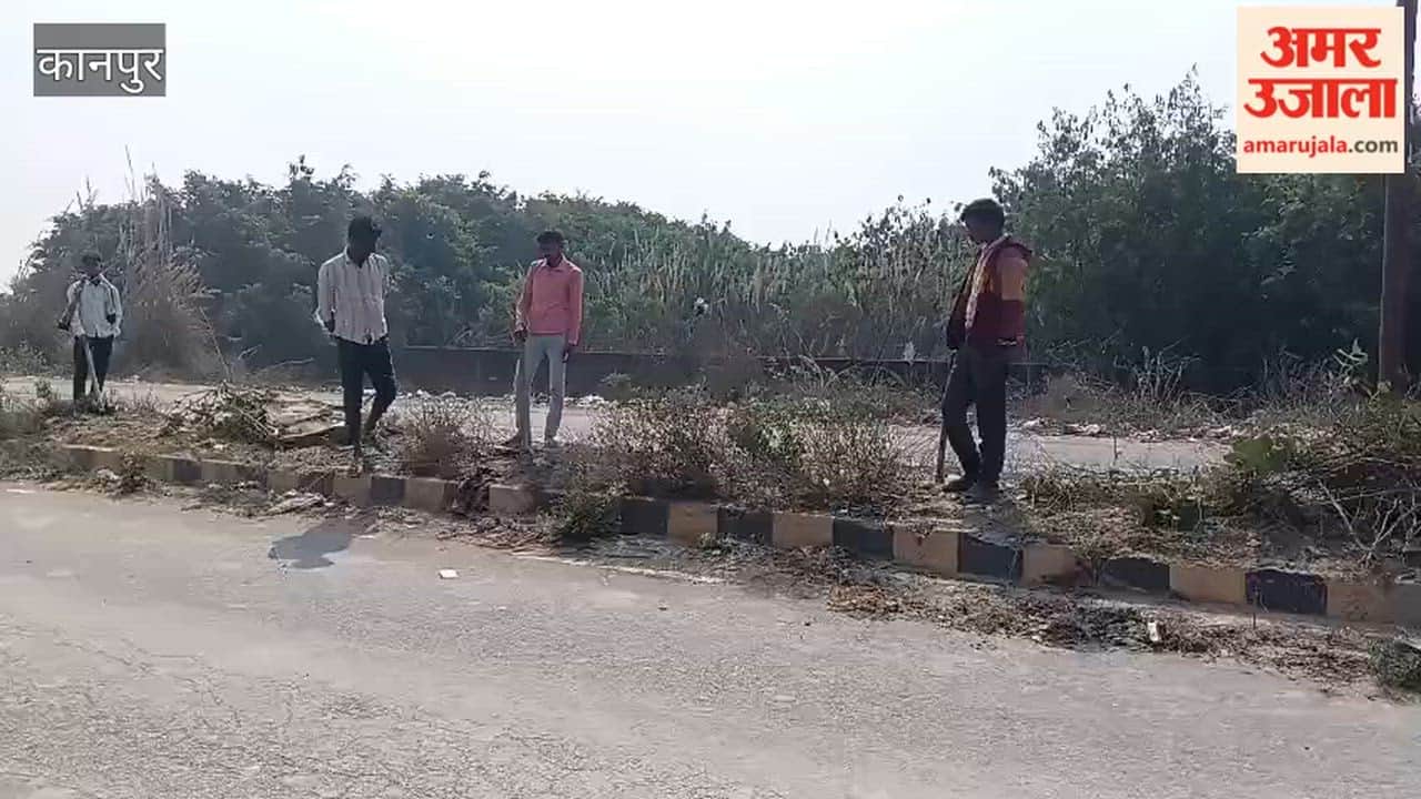 Cleaning of the Green Belt from Marhala Square to Azad Marg