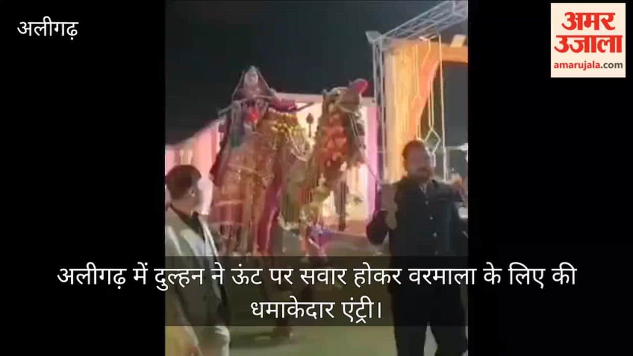 अलीगढ़ में दुल्हन ने  ऊंट पर सवार होकर वरमाला के लिए की धमाकेदार एंट्री