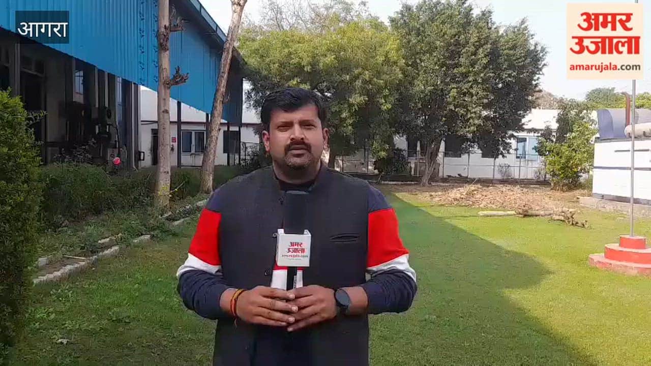 Pavement tiles uprooted and ceramics installed, restaurant operator fined