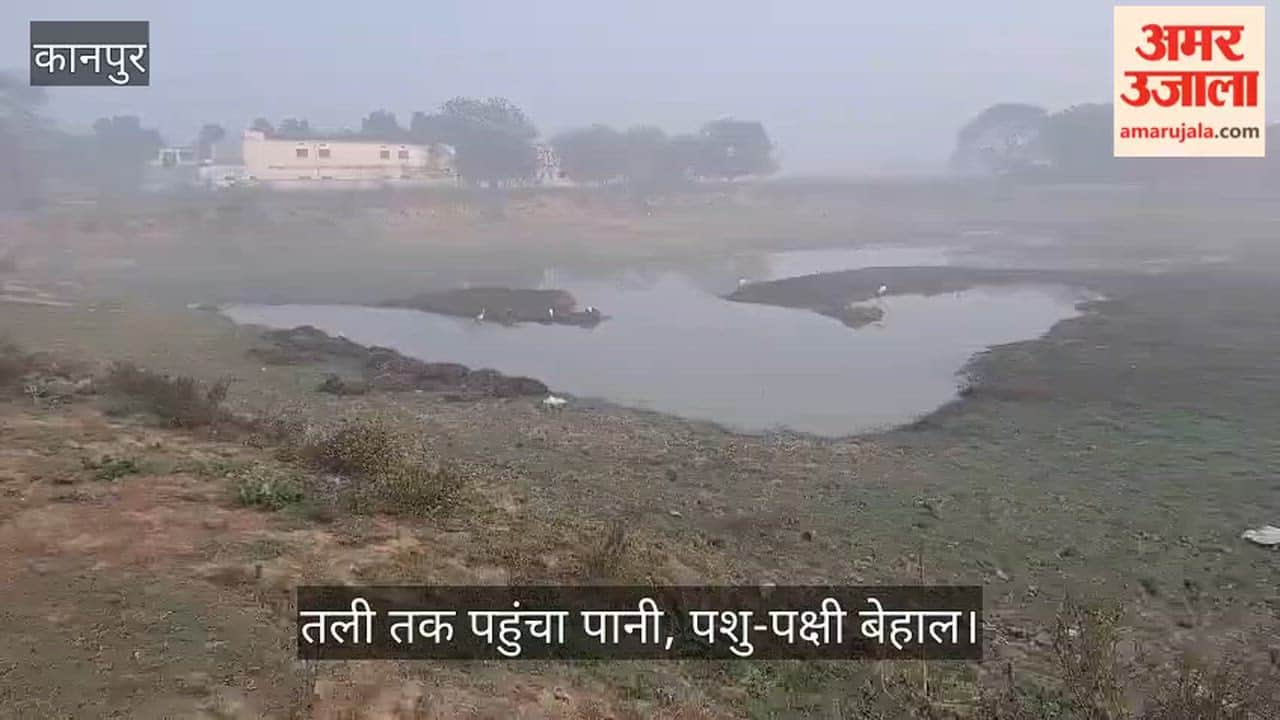 कानपुर: गर्मी से पहले ही दम तोड़ने लगे तालाब, भीतरगांव में जल संकट की आहम