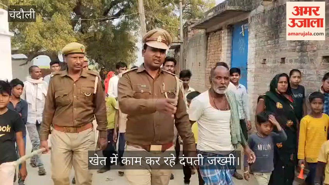 Couple working in the field injured in attack by wild boars