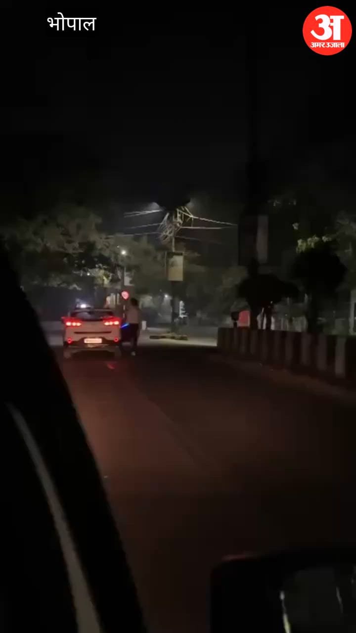 Bhopal News: Youth Arrested for Performing Stunt on Moving Car; Police Warn Road Performers Will Face Jail