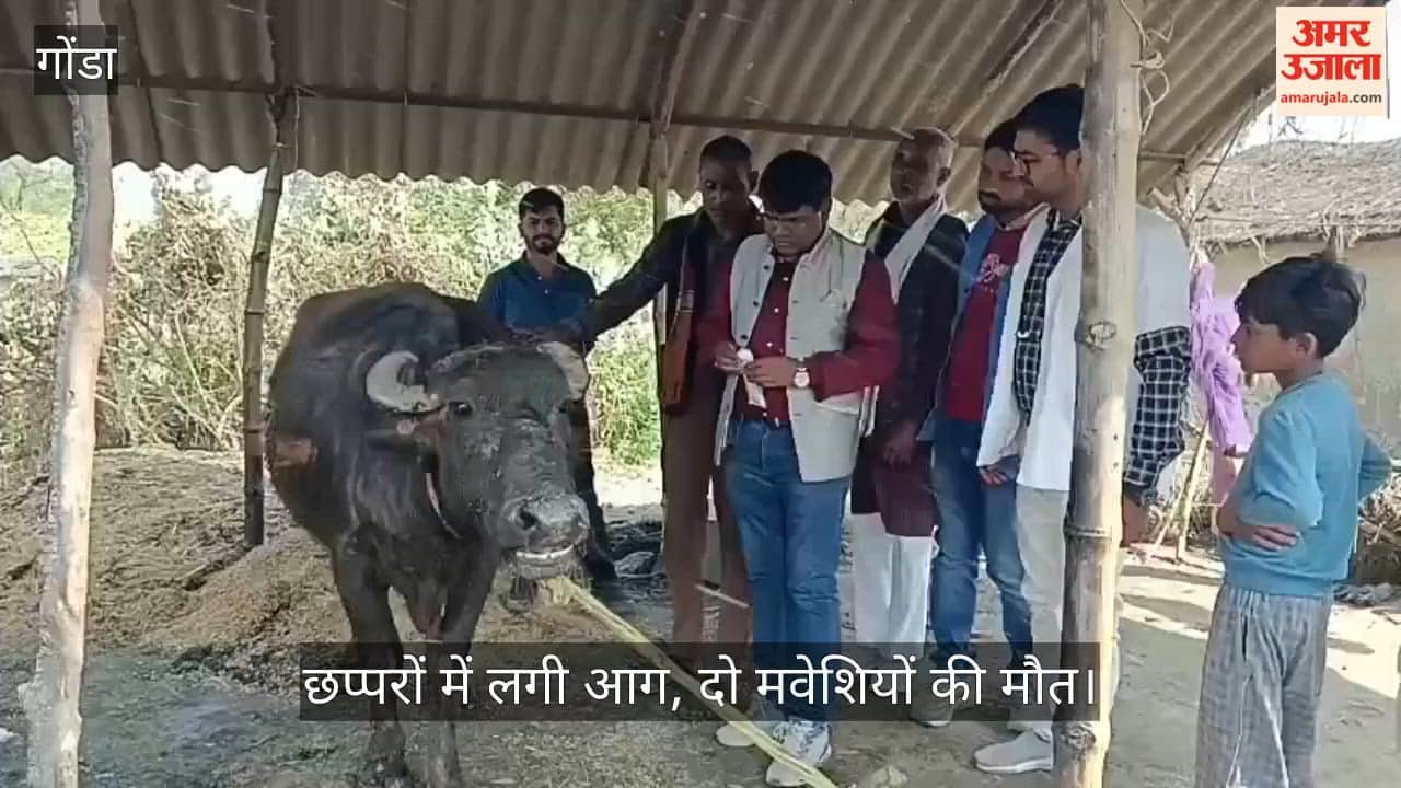 गोंडा में छप्परों में लगी आग, दो मवेशियों की मौत; गृहस्थी का सामान जला