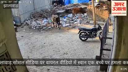 Terror of stray dogs, father showed courage