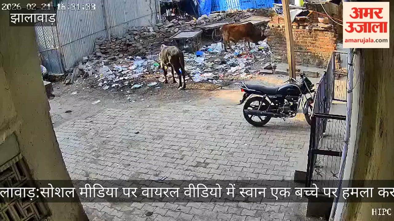 Terror of stray dogs, father showed courage