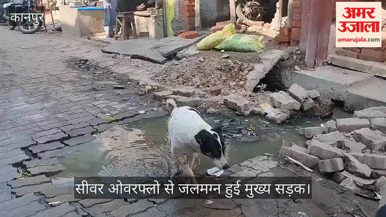 कानपुर: भल्ला स्टेट में चोक लाइनों ने सड़क को बनाया तालाब, बदबू और गंदगी के बीच रहने को मजबूर लोग