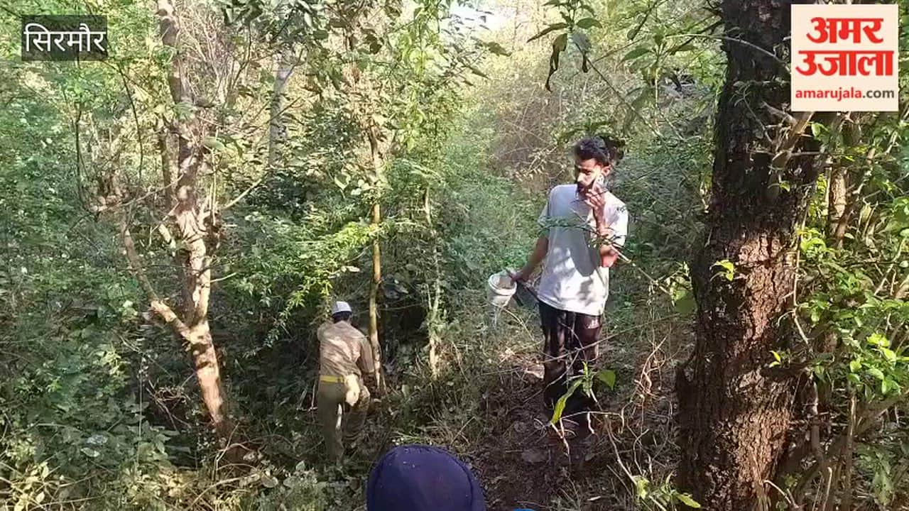 Sirmour Followers of Nirankari Mission cleaned water sources