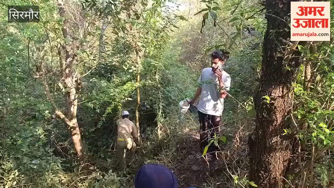 Sirmour Followers of Nirankari Mission cleaned water sources