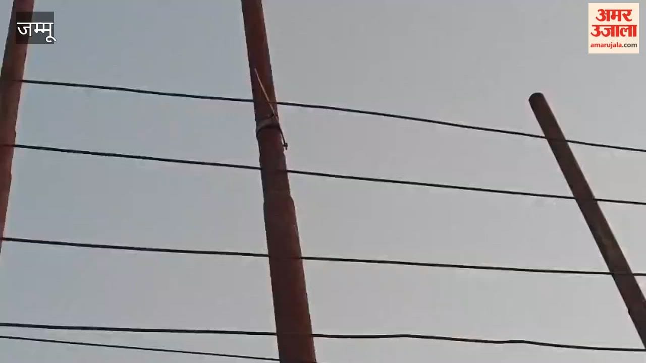 Objection to electricity pole in Purmandal, concern about safety due to wires near iron bridge