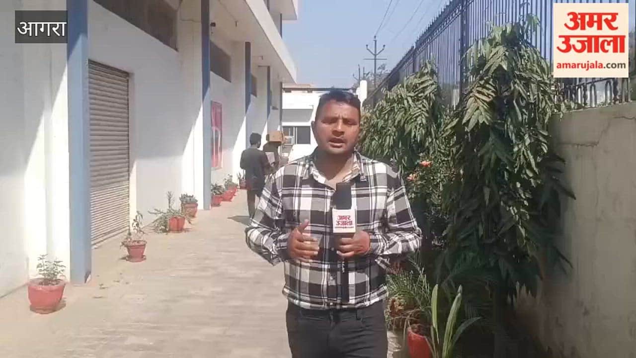 Fast food is causing bones to become hollow