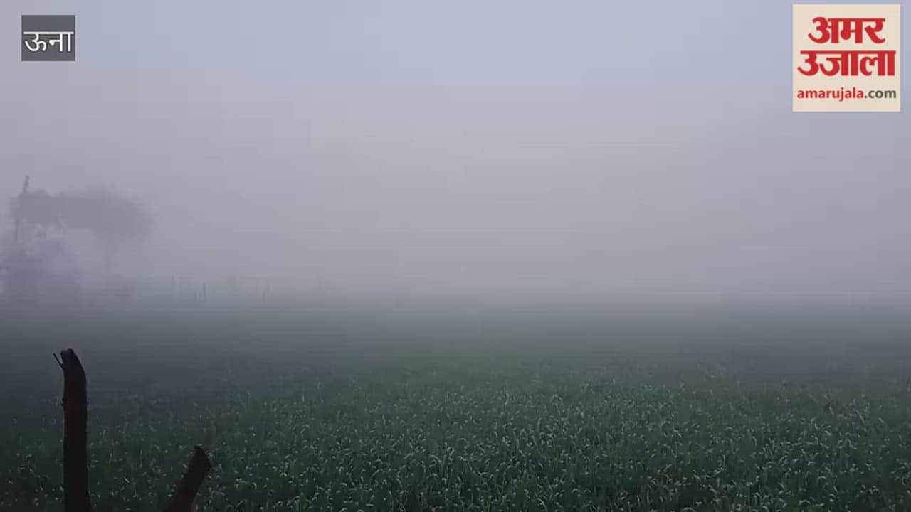 Una Fog continues to reign in Kutlahar assembly constituency