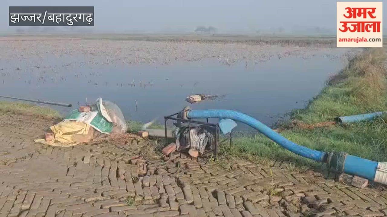 In Bahadurgarh's Badli, fields remain waterlogged even after six months of rain