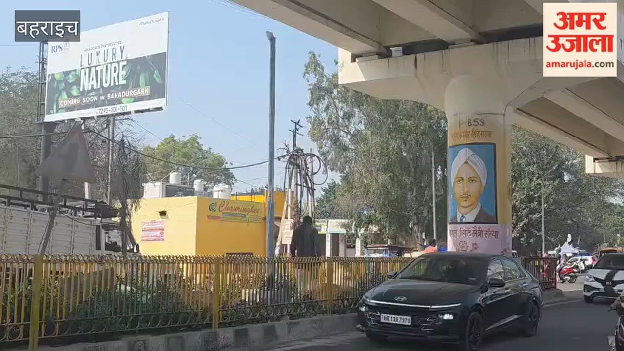 Maharaj type decorative lights started being installed in Bahadurgarh