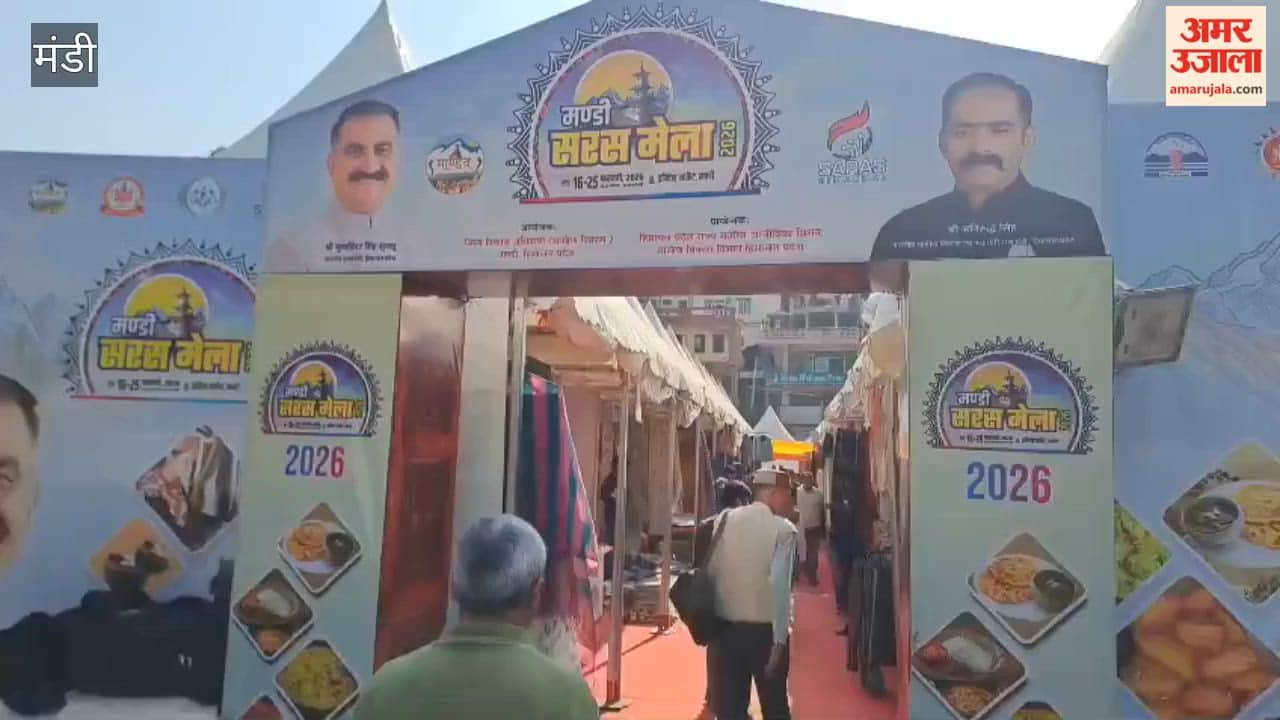 Mandi The juice of Pangi herbs is a panacea for not just one but many diseases