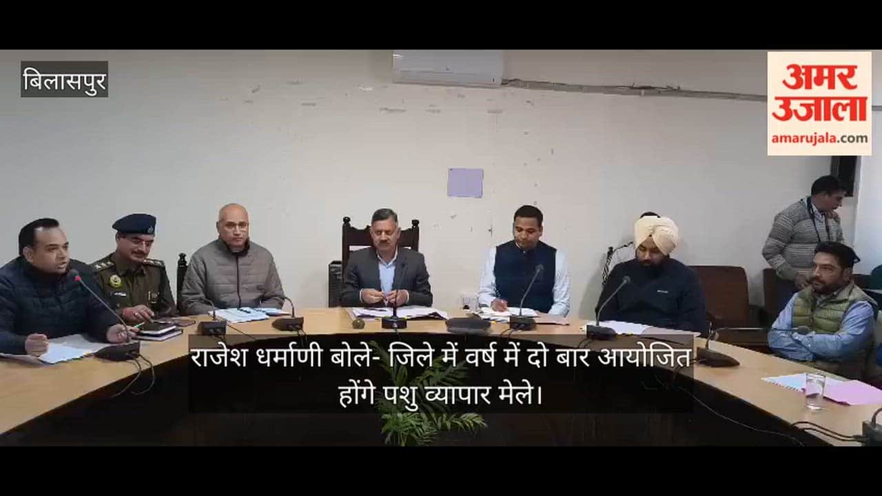 Bilaspur: Rajesh Dharmani said – cattle trade fairs will be organized twice a year in the district