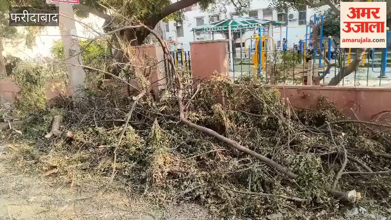 Trees being cut against rules in Faridabad NIT