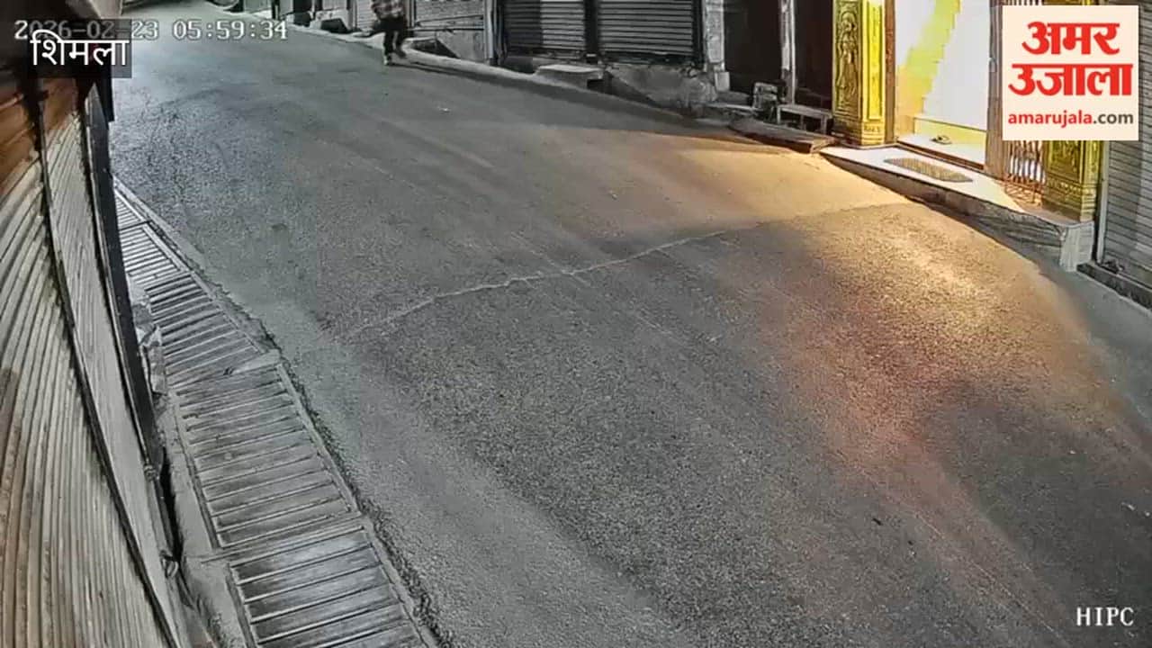 Shimla A thief stole the cash box at the temple complex's gate, the incident was captured on CCTV