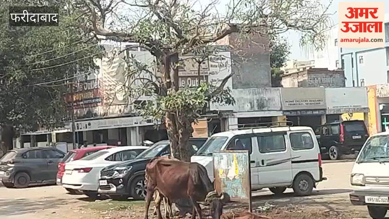Encroachment in Faridabad Sector 21B market has upset shopkeepers