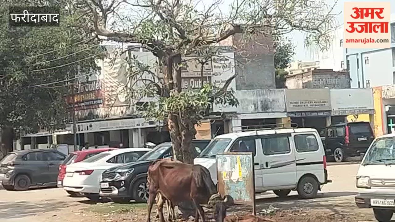 Encroachment in Faridabad Sector 21B market has upset shopkeepers