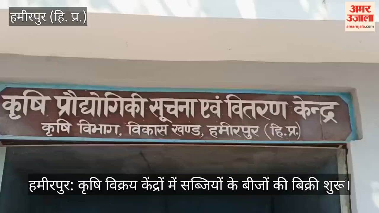 Hamirpur: Sale of vegetable seeds begins at agricultural sales centers