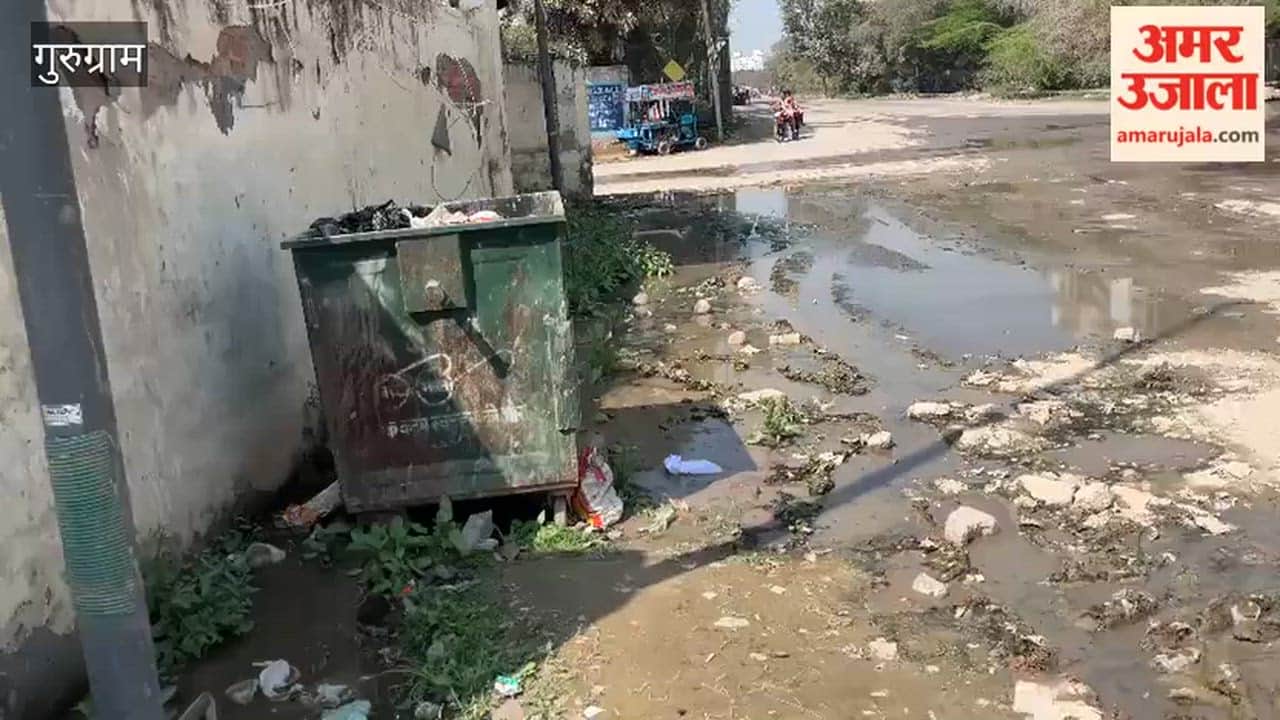 People are facing problems due to dirty sewer water flowing on road in Badshahpur Sector-66