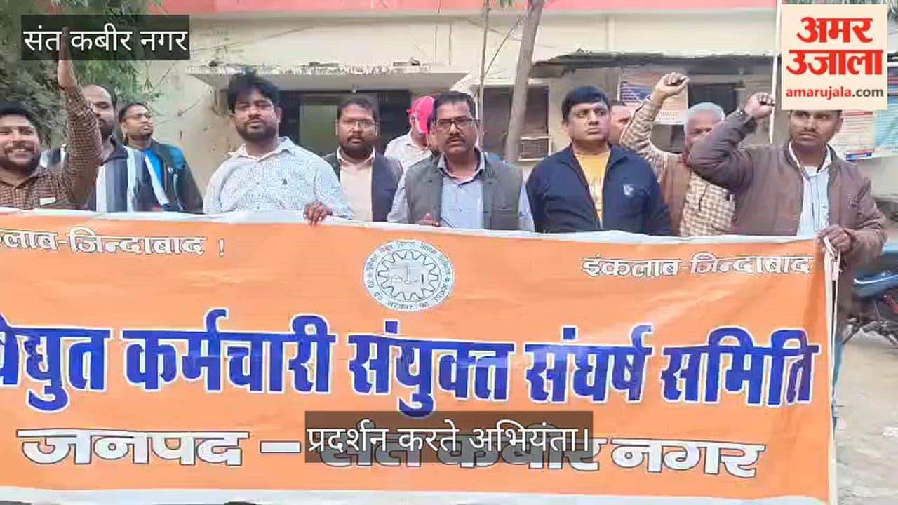 Electricity workers protested against privatization