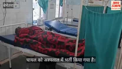 Farmer died and two injured in bee attack in Bemetara