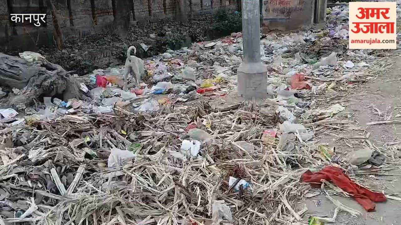 Kanpur: Piles of garbage near Panki's Naya Mandir Road