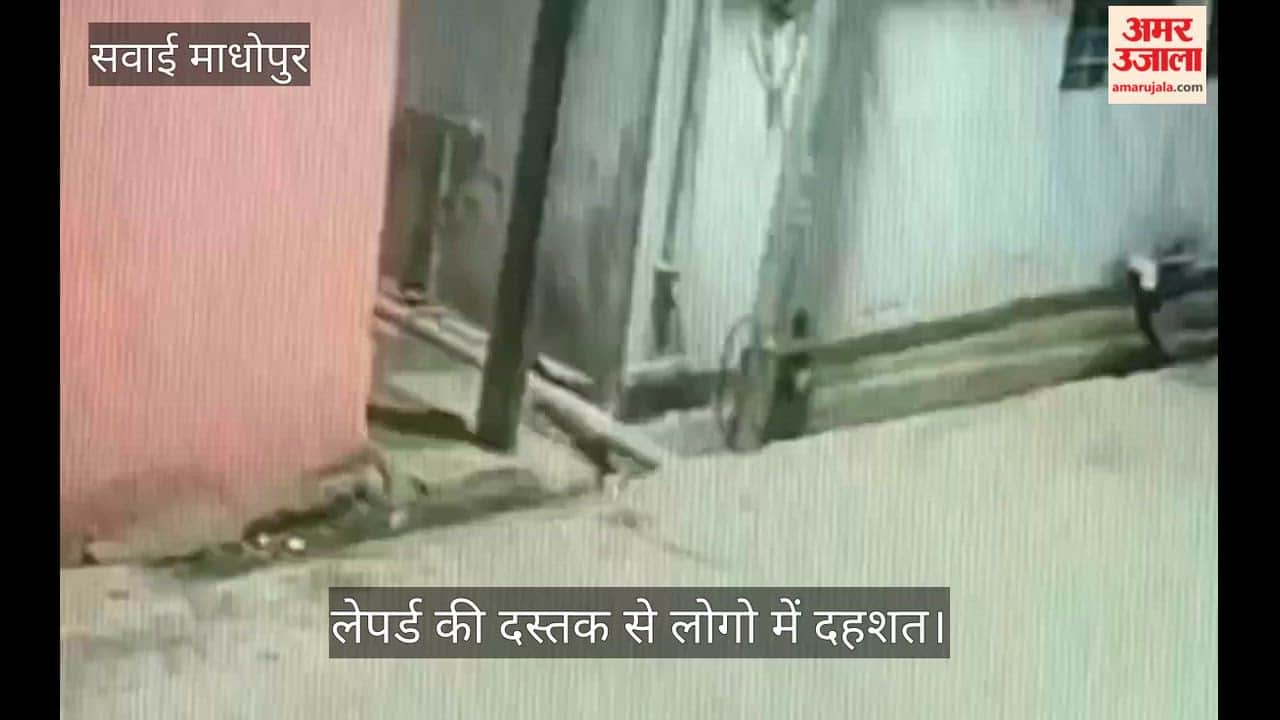Sawai Madhopur News: Leopard Sightings Trigger Panic, Movement Captured on CCTV, Residents Spend Night in Fear