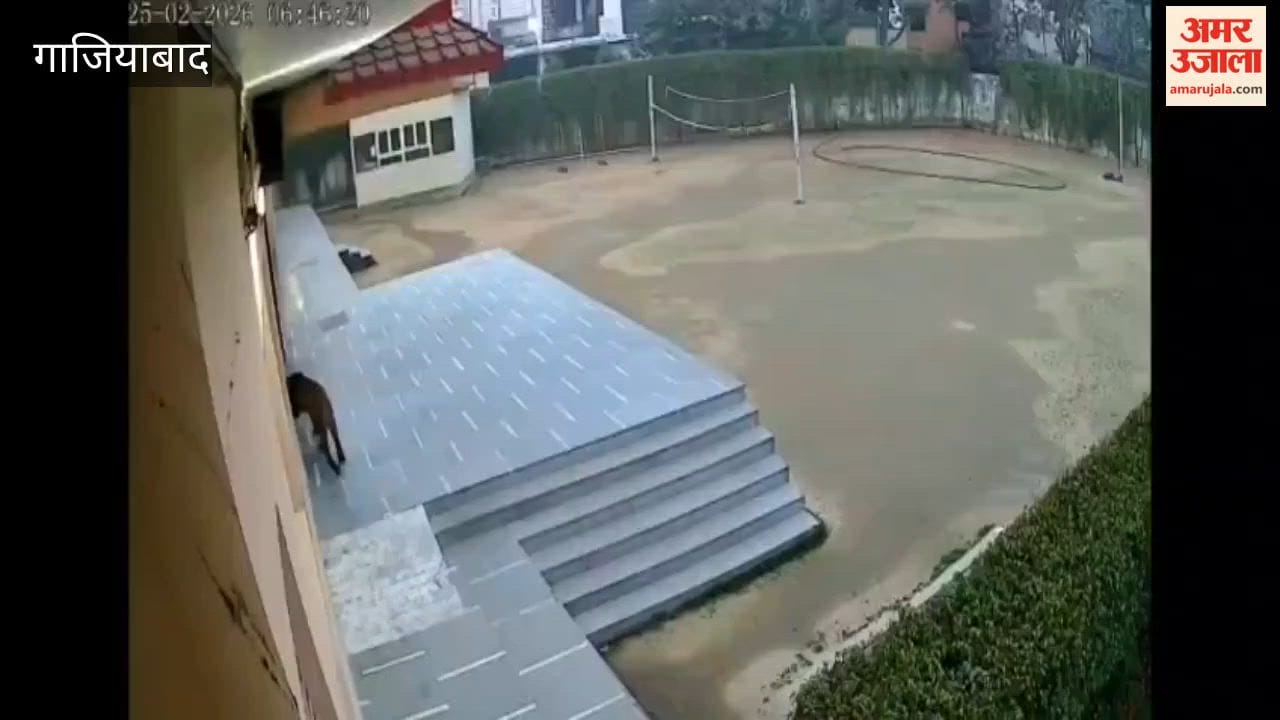 Leopard enters school premises in Ghaziabad, captured on CCTV