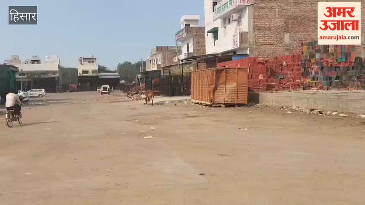 The state's first organic fruit and vegetable market will be built on 7 acres in Hisar, as announced by CM Nayab Singh Saini in June 2025.