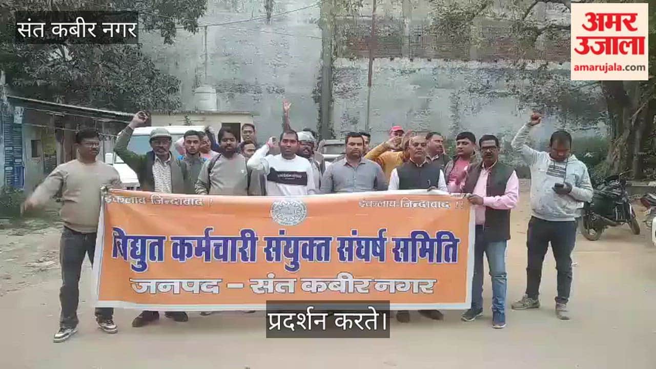 Electricity workers expressed anger over the installation of smart meters and harassment of employees.