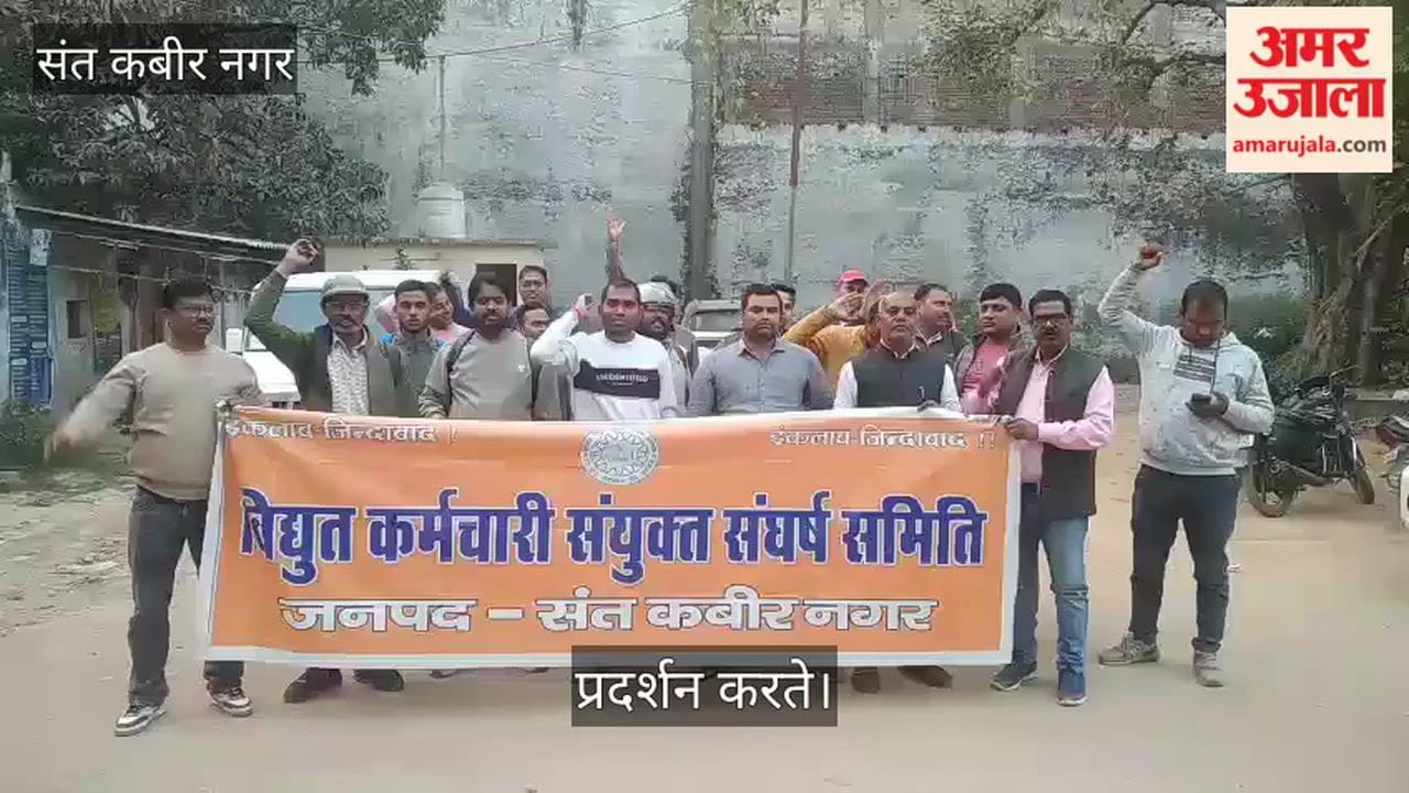 Electricity workers expressed anger over the installation of smart meters and harassment of employees.