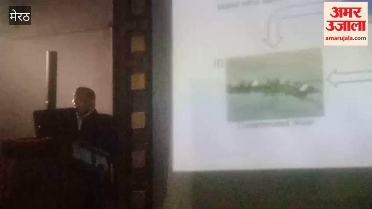 Meerut: International seminar organized in RG College