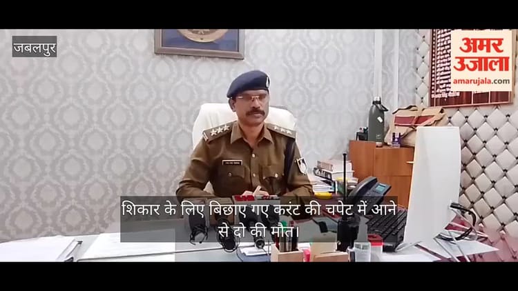 Jabalpur News: शिकार के लिए बिछाए गए करंट की चपेट में आने से दो की मौत, लोहे का सरिया बना हादसे की वजह