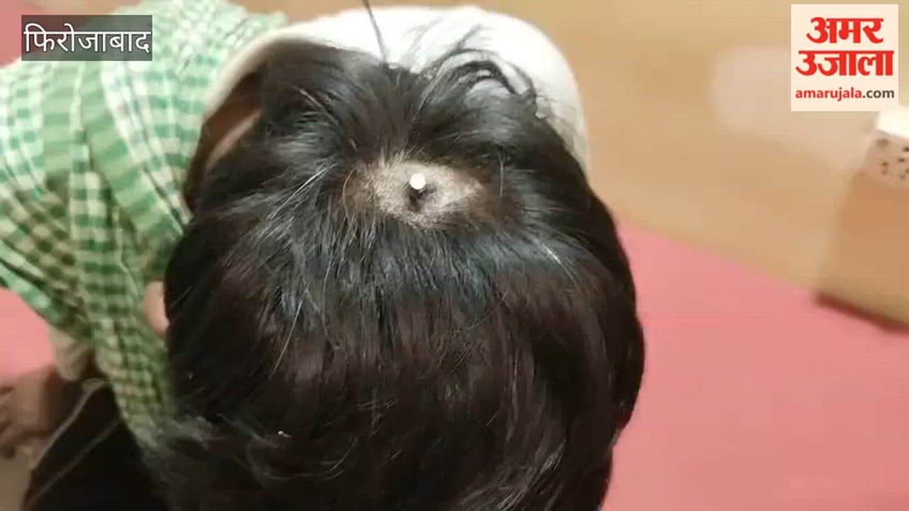 Nail hammered into young man head in firozabad