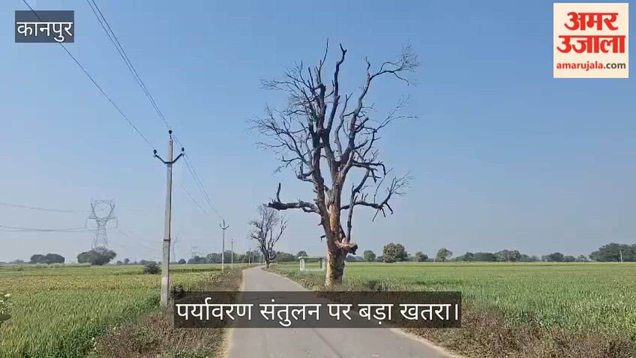 कानपुर: सूख रही है भीतरगांव की प्राकृतिक विरासत; दशकों पुराने आम और नीम के पेड़ बन रहे ठूंठ