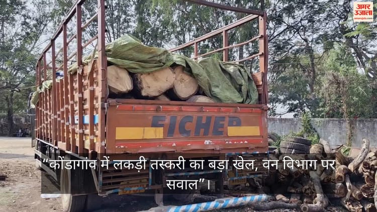 कोंडागांव: लकड़ी तस्करी का बड़ा खेल, वन विभाग पर उठे गंभीर सवाल