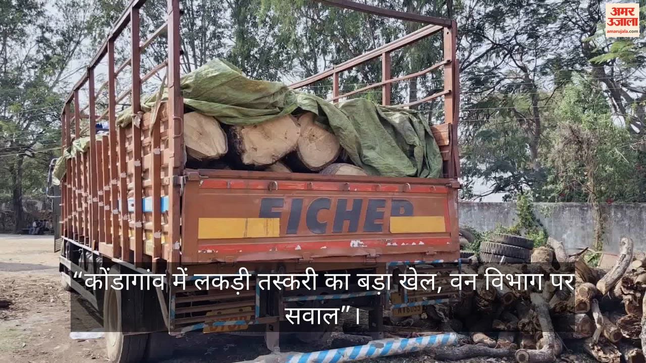 kondagaon forestBig game of timber smuggling serious questions raised on forest department in Kondagaon