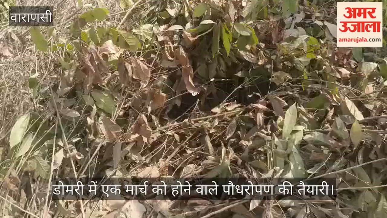planted in one hour in Domari world record will be created in Varanasi