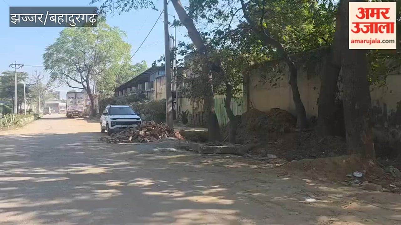 Development work in the old industrial area of Bahadurgarh is going on at a slow pace, leaving entrepreneurs worried
